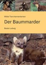 Informationen zum Buch Der Baummarder