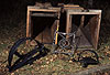 Fallen, hinten Kastenfallen aus Holz, vorn links Abzugseisen, Mitte Conibear-Falle, rechts Tellereisen / Traps, background live traps